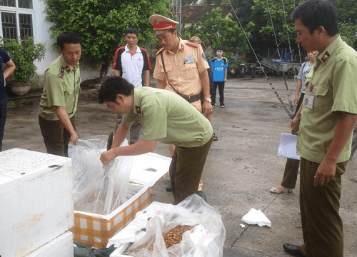 Ninh Bình: Kinh hoàng phát hiện 7 tạ nhộng tằm thối trên xe khách