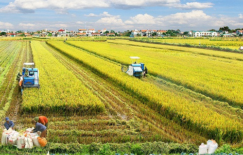Ngành nông nghiệp đặt mục tiêu tăng trưởng 3 – 3,1% năm 2018
