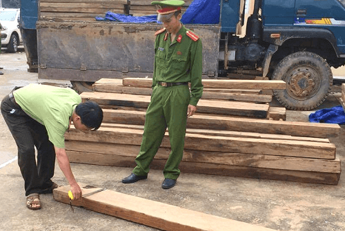 Thanh Hóa: Thu giữ 11m3 gỗ lậu đang trên đường vận chuyển