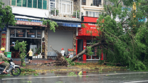 Nghệ An: Bão số 2 đổ bộ gây mưa to, gió lớn