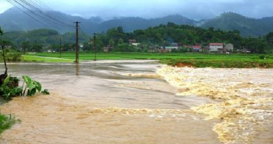 Phú Thọ: Hơn 290 ha lúa và hoa màu bị thiệt hại do cơn bão số 2