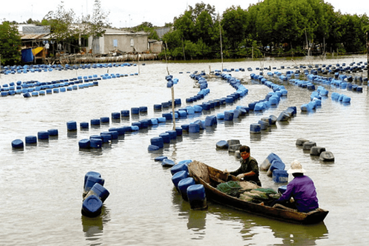 Việt Nam – Hà Lan: Xây dựng hình mẫu hợp tác ứng phó Biến đổi khí hậu