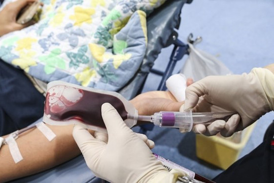 Một người nguy kịch vì viêm não Nhật Bản do truyền máu