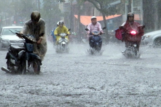 Dự báo thời tiết ngày 5/8: Hà Nội có mưa to và dông