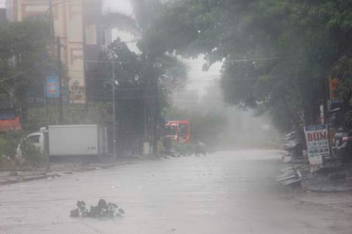 Hà Nội: Tích cực chủ động ứng phó với mưa, dông lốc và gió giật mạnh