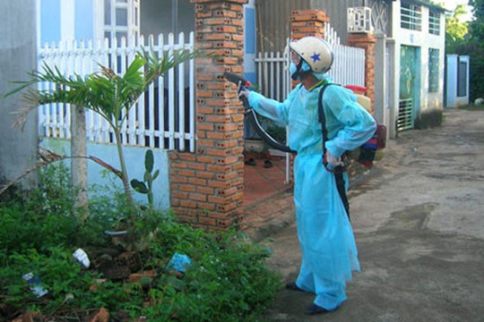 TP. Hà Nội lập đội xung kích diệt bọ gậy chống dịch sốt xuất huyết
