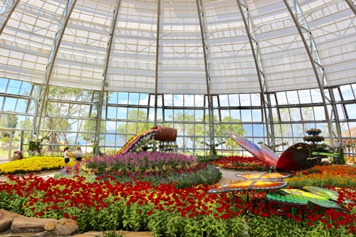 Đồi Vạn Hoa – Công viên thực vật độc đáo tại Nha Trang