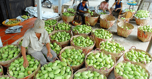 Diễn đàn Tiêu thụ rau, quả Việt Nam – Trung Quốc