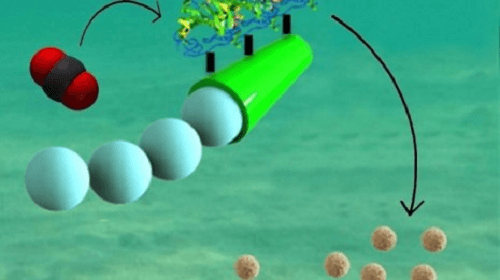 Động cơ nano có thể giảm ô nhiễm CO2 trong các đại dương
