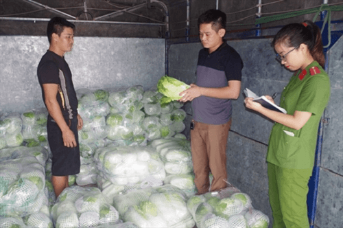 Hà Nam: Tóm gọn xe ô tô chở gần 2 tấn rau Trung Quốc