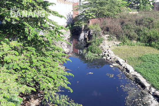 TP. Đà Nẵng: Những dòng kênh nước thối đang “bức tử” người dân