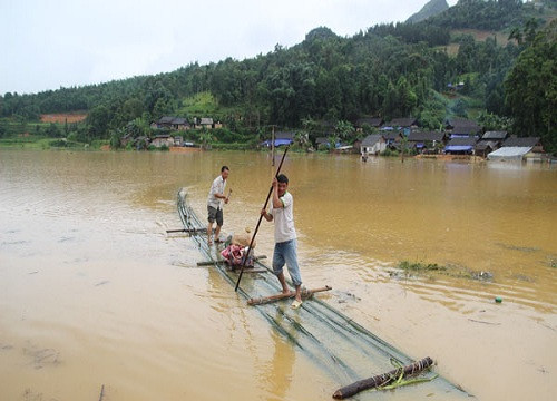 Lào Cai: Mưa lớn gây ngập lụt làm 150 hộ dân bị cô lập