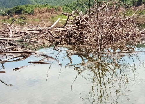 Hà Tĩnh: Dự án Thủy lợi Ngàn Trươi – Cẩm Trang đối mặt với tình trạng ô nhiễm trầm trọng