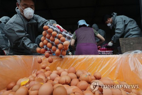 Chính phủ Hàn Quốc xin lỗi người dân về vụ “trứng bẩn”