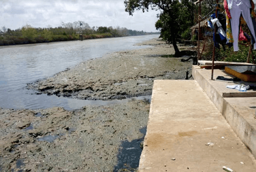 Báo động ô nhiễm hữu cơ trên sông, rạch Cà Mau