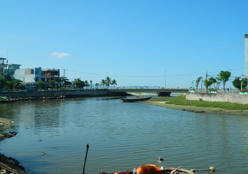 TP. Đà Nẵng: Cá chết trên kênh Phú Lộc có thể do nước thải nhà máy