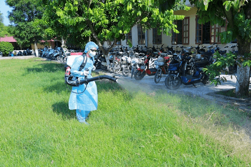 Phú Thọ: Tổ chức chiến dịch tổng vệ sinh môi trường, phòng chống dịch sốt xuất huyết