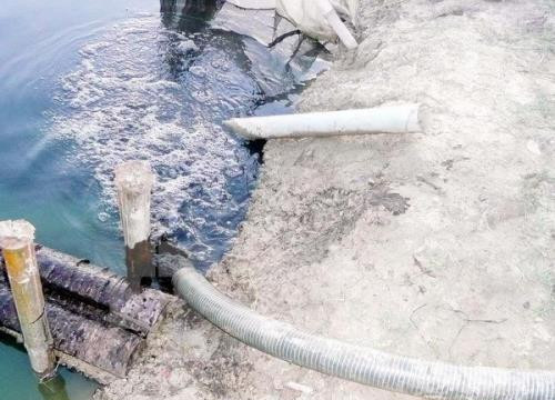 Cà Mau: Ô nhiễm sông Gánh Hào do nước thải doanh nghiệp