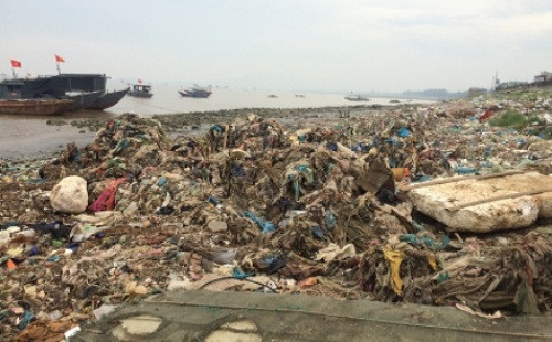 Thanh Hóa: Ô nhiễm tại vùng biển Ngư Lộc (Hậu Lộc)