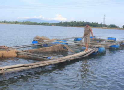 TP. Đà Nẵng: Người nuôi tôm trắng tay vì sông Cu Đê ô nhiễm