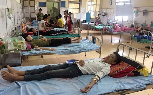 Điện Biên: 11 học sinh nhập viện vì bị ong đốt ngay trong giờ học
