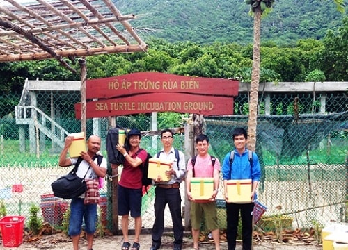 Quảng Nam: Tiếp nhận trứng rùa biển về Cù Lao Chàm
