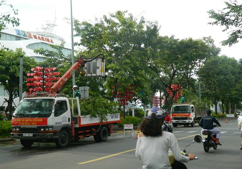 TP.Đà Nẵng: Ra quân cắt tỉa cây xanh ứng phó mùa mưa bão