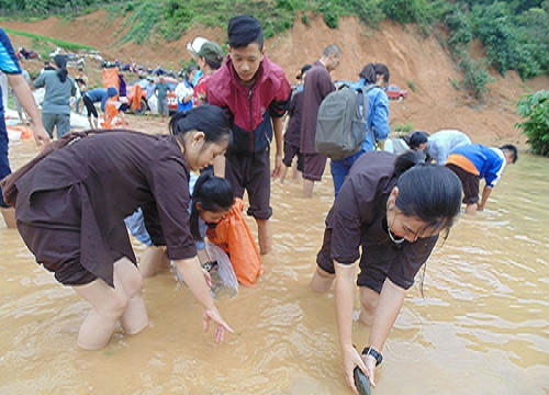Điện Biên: Phóng sinh 84.500 con cá giống xuống hồ Nậm Núa