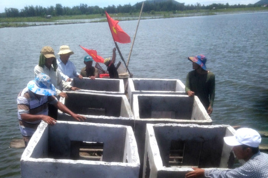 Thừa Thiên – Huế: Xây dựng, tái tạo sinh cảnh tại các Khu bảo vệ thủy sản