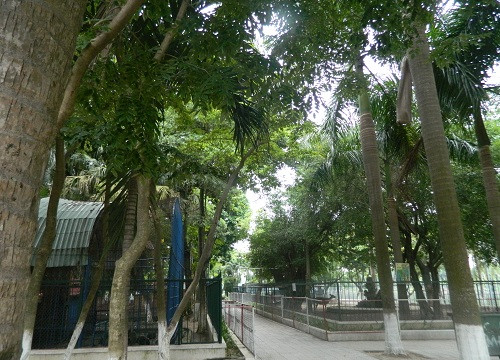 Đà Nẵng: Công ty Công viên cây xanh 29/3 xin giải thể vườn thú