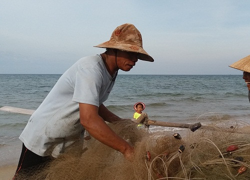 Thừa Thiên – Huế: Ngư dân “mất ăn, mất ngủ” vì cá nóc