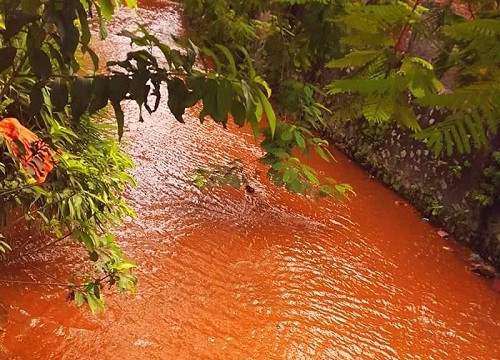 Quảng Ninh: Kỳ lạ con suối có màu hồng tươi ở Hạ Long