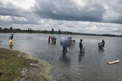 Gia Lai: Tổ chức thả cá về hồ tự nhiên tại huyện Chư Pah