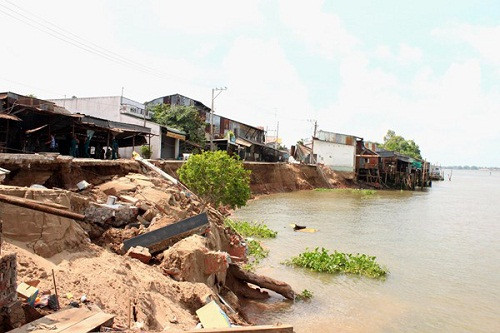 An Giang: Bờ sông Hậu tiếp tục sạt lở 9 hộ dân phải di dời