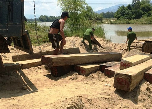 Quảng Nam: Vận chuyển gỗ lậu bị phát hiện lâm tặc nhảy sông trốn chạy