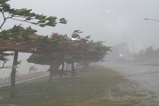 Hà Nội: Chủ động ứng phó với bão số 10 và mưa lũ sau bão