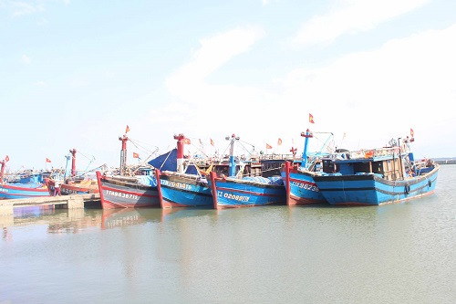 Quảng Bình: Hàng trăm tàu cá “đua nhau” tránh bão