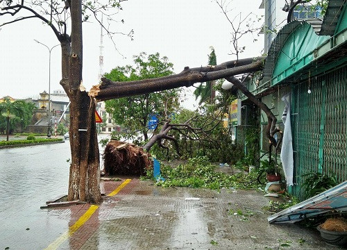 Quảng Bình chịu ảnh hưởng nặng nề do bão số 10 gây ra