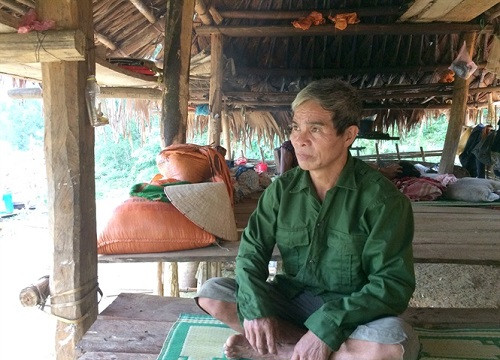 Thanh Hóa: Túng quẫn, dân miền núi bán rừng tràn lan