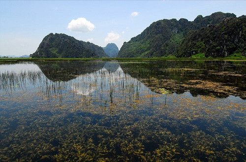 Quảng Nam công bố 15 dự án, lĩnh vực đầu tư có nguy cơ tác động lớn đến môi trường