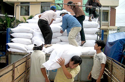 Chính phủ hỗ trợ gạo cho người dân sau bão số 10