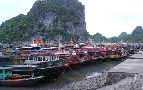 Quảng Ninh: Tránh áp thấp nhiệt đới dừng tham quan vịnh Hạ Long và đưa du khách rời đảo Cô Tô