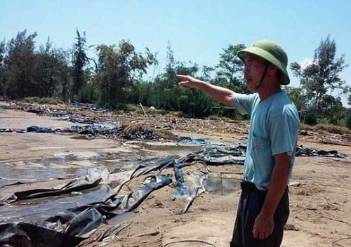 Thanh Hóa: Báo cáo thiệt hại bão số 10 giảm sau 3 ngày