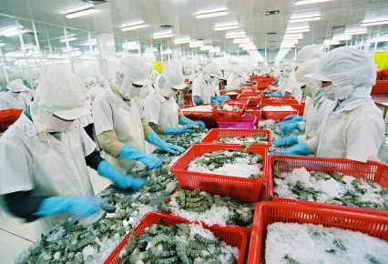 EU trở thành thị trường nhập khẩu tôm lớn nhất của Việt Nam