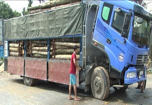 Lào Cai: Tạm giữ xe chở 15 khối gỗ không rõ nguồn gốc tại huyện Bảo Thắng
