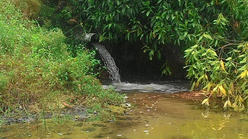 Thừa Thiên – Huế: Khu công nghiệp “bỏ quên” hệ thống xử lý nước thải