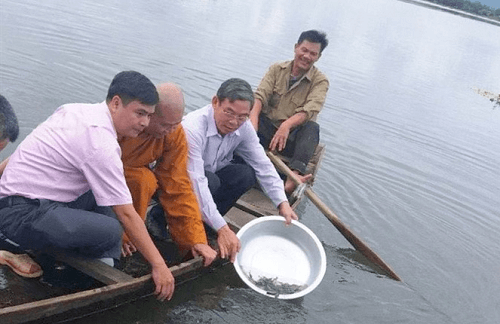 Thả 19.000 con cá giống tái tạo nguồn lợi thủy sản tại hồ Ea Súp Hạ