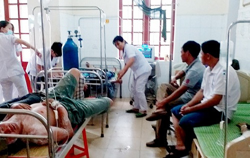 Nghệ An: Trêu chọc đàn ong 3 người nhập viện vì bị đốt tại huyện Thanh Chương