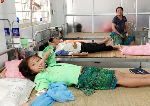 Lào Cai: 6 trẻ em bị ngộ độc nấm ở Bảo Yên