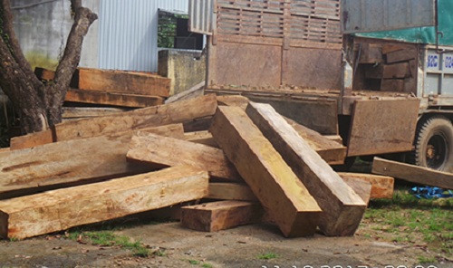 Kon Tum: Phát hiện hơn 15m3 gỗ không rõ nguồn gốc
